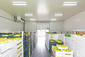 Industriele koeltechniek van DI Koeltechniek